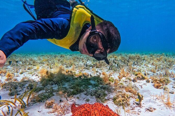 El Cielo Snorkeling Adventure in Cozumel - Itinerary Breakdown: What to Expect