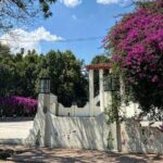 Epic Condesa and Roma Norte Walking Tour - The Experience from a Travelers Perspective