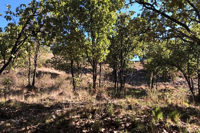 Epic MTB ride at Guadalajara forest. - The Guide and Service Quality