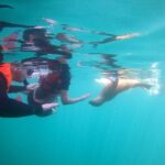 Espiritu Santo Island and sea lions - Value for Money: Is It Worth $122.67?