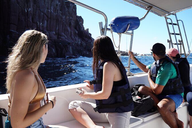 Espiritu Santo Island: Snorkel, Wildlife and Beach - Final Thoughts: Who Should Book This Tour?