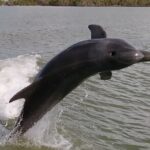 Everglades Small Group Guided Boating and Walking Expedition - Practical Details: Transportation, Duration, and Cost