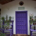 Ex hacienda, rancho de lavanda y Val'Quirico (private tour) - The Experience in Detail