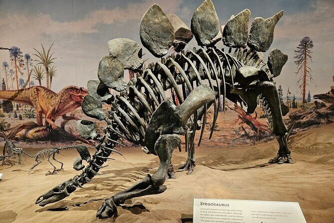 Exclusive Drumheller Private Tour from Calgary - Authentic Insights from Past Tour Participants