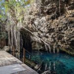 Exotik half a day tour: Cenote Cave and Swimming with Sea Turtles - Who Should Consider This Tour?