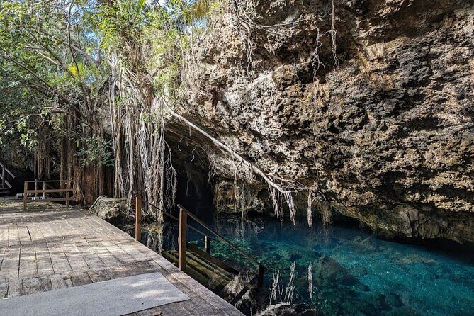 Exotik half a day tour: Cenote Cave and Swimming with Sea Turtles - Who Should Consider This Tour?