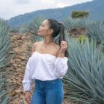Experience an Artisanal Tequila Tour - Detailed Breakdown of the Itinerary