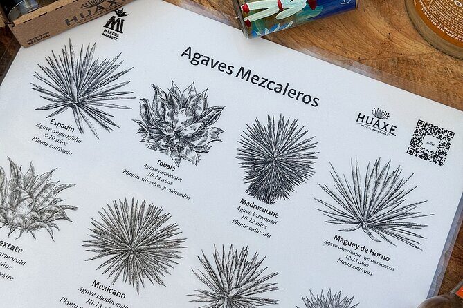Experience mezcal science tasting and lecture Oaxaca - Who Should Consider This Experience?