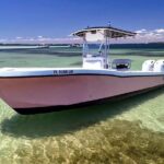 Experience Sunset and Dolphin Adventure in Panama - Who Is This Tour Best For?