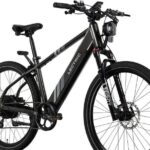 Explore Acadia with Ease Premium E-bike Rentals and Free Delivery - The Value of This Experience