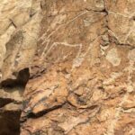 Explore Tanbaly and Tamgaly Tas in 1 day! - FAQ