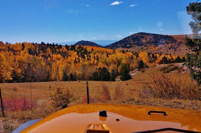 Fall Foliage Jeep Tour - What Do Reviewers Say?