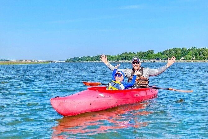 Family Friendly Dolphin Nature Kayak Tours in Hilton Head - The Experience: What You Can Expect