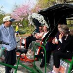 First Class Central Park Tour  Iconic Views & VIP Photo Moments - Authentic Experiences and Tips From Reviewers