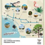 Florida Audio Tour Bundle 3 Self-Guided Sightseeing Tours - Day 1: Exploring the Heart of Everglades and Big Cypress