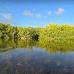 Florida Keys Kayak And Paddleboard Rentals - The Practical Side: Logistics & Comfort