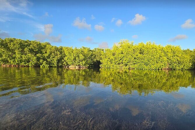 Florida Keys Kayak And Paddleboard Rentals - The Practical Side: Logistics & Comfort