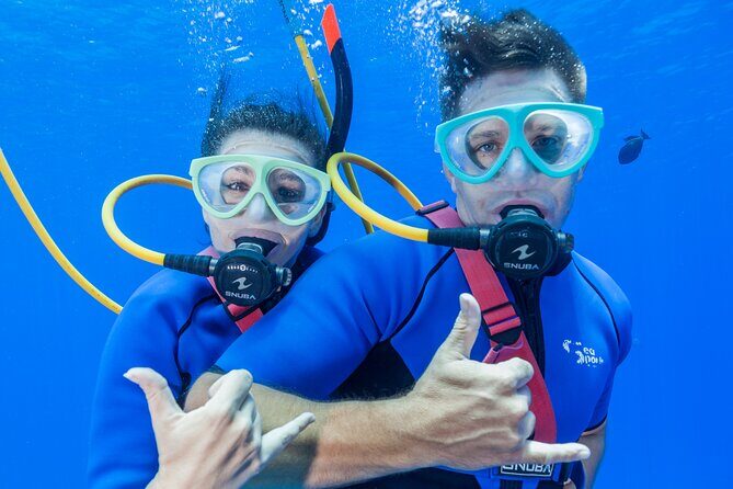 Four Winds Maui Afternoon Snorkel Tour to Coral Gardens - The Bottom Line: Value and Experience