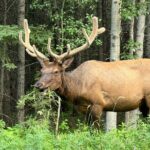 From Banff: Shuttle Service to Moraine Lake & Lake Louise - Flexibility and Pacing