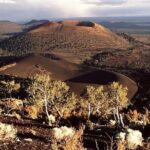 From Phoenix Flagstaff Day Shared Tour - Practical Details and What You Can Expect