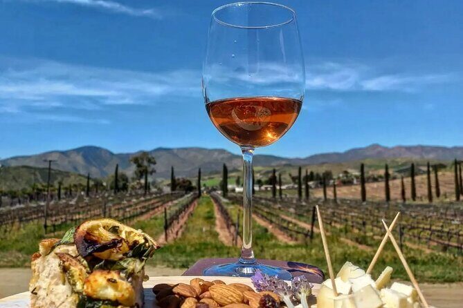 From the Border Valle de Guadalupe Private Wine Tour - A Deep Dive into the Tour Itinerary