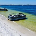 Full Day 60HP Pontoon Rental to Shell Island - The Itinerary: What to Expect