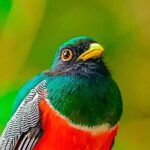 Full Day Bromeliad Forest Tour from Oaxaca - What the Tour Includes and What to Expect