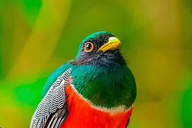 Full Day Bromeliad Forest Tour from Oaxaca - What the Tour Includes and What to Expect