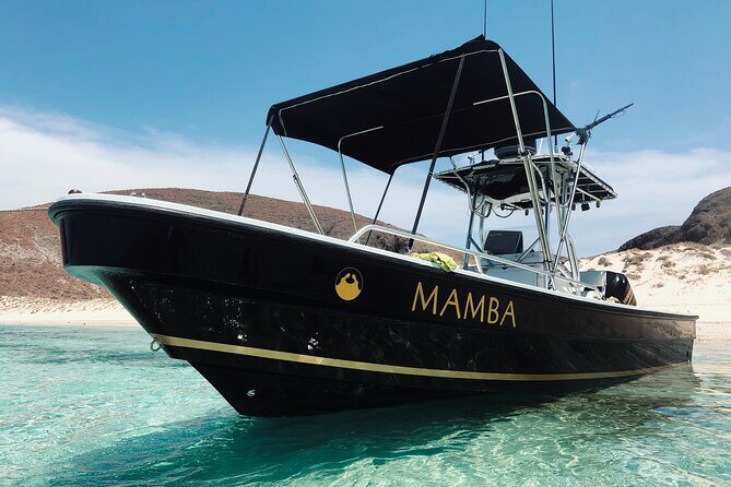 Full Day Private Scuba Diving in Espiritu Santo Island - Who Is This Tour Best For?