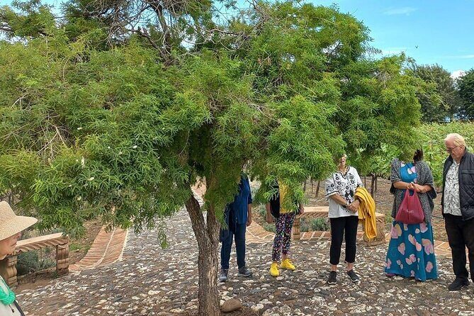 Full Day Tour in Finca Estramancia Vineyard with stop in Chapala - Discovering Finca La Estramancia: A Winemaking Gem