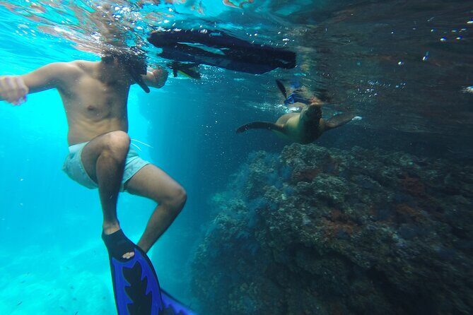 Full-Day Tour Nature Experience at Isla Espiritu Santo! Sea Lions - Whats Included and Whats Not