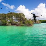 Full Day Tour of Isla Holbox and Isla Pasión with Cenote - The Itinerary in Detail