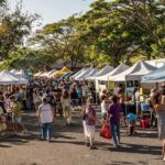 Full-Day Tour to Kailua Hawaii with Return Trip Shuttle - An In-Depth Look at the Kailua Tour
