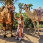 Fun Camel Ride and UTV COMBO with Tequila Tasting! - The Final Word