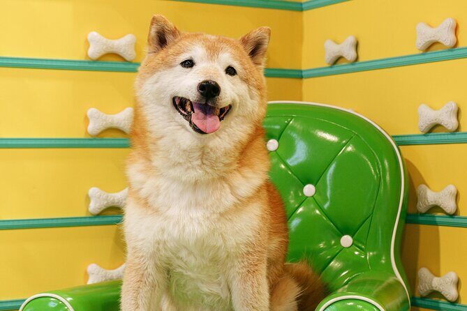 Fun Selfie Experience in Calgary - Detailed Breakdown of the Itinerary