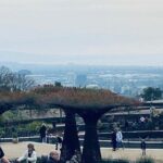 Getty Museum Private Tour - The Experience of Visiting the Getty