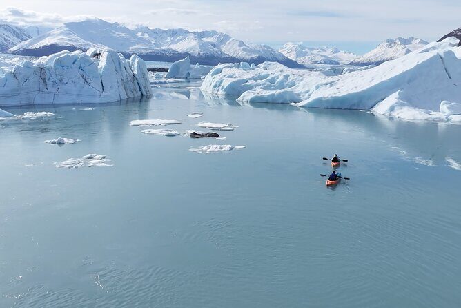 Glacier Blue Kayaking  Knik Glacier Day Tour from Anchorage - Experience Overview and Itinerary Breakdown