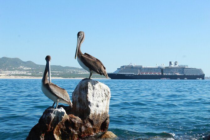 Glass Bottom Boat in Cabo San Lucas, free time in Playa del Amor - The Practical Aspects of the Tour