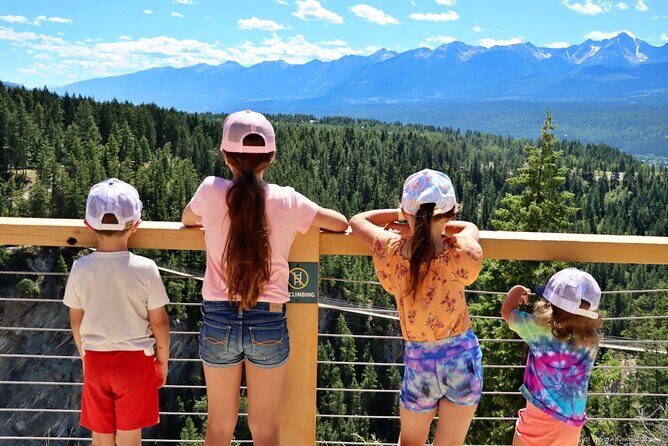 Golden Skybridge Emerald Lake Natural Bridge and Takakkaw Falls - Comfort, Value, and Guide Experience