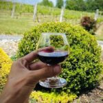 Grandfather Mountain Private Wine & Dine Tour from Asheville - Pricing and Overall Value