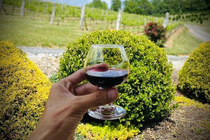 Grandfather Mountain Private Wine & Dine Tour from Asheville - Pricing and Overall Value