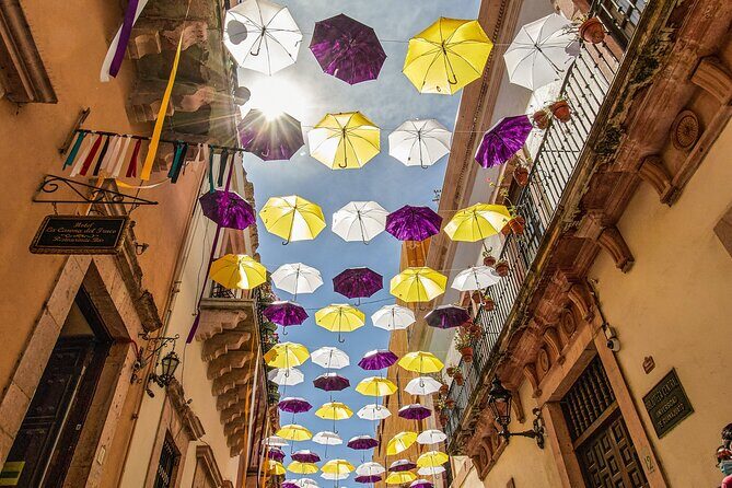 Guadalajara to Guanajuato One-Way Private Transfer - Who Will Love This Experience?