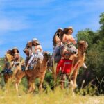 Guided Canyon Camel Ride in Wild Canyon Adventure Park - The Itinerary Breakdown: What to Expect