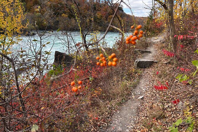 Guided Hike Along the Niagara River Gorge to Power Plant Ruins - What to Expect on the Trail