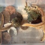 Guided Jet Ski Adventure Tour - Authentic Experiences from Past Participants