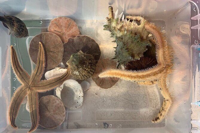 Guided Jet Ski Adventure Tour - Authentic Experiences from Past Participants