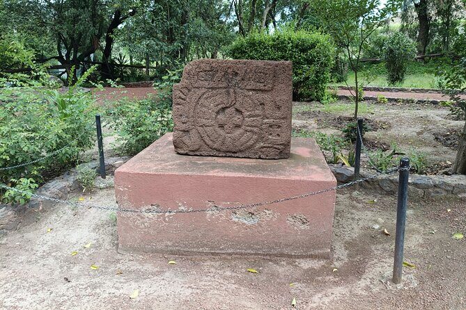 Guided Private Tour Teotihuacan,Basilica of Guadalupe,Tlatelolco - Final Thoughts