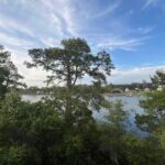 Guided Stand up Paddle Activity - Final Thoughts