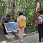 Guided Tour to Calakmul and Jungle Trail | From Bacalar. - The Sum Up