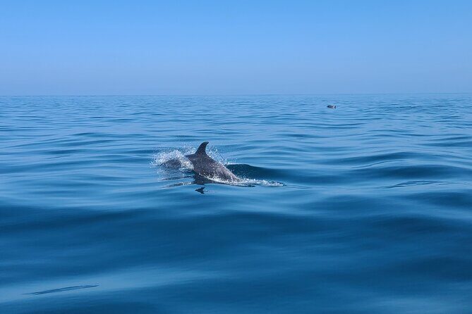 Guided Two hours Jetski Coastal Tour - Experience Breakdown: What to Expect